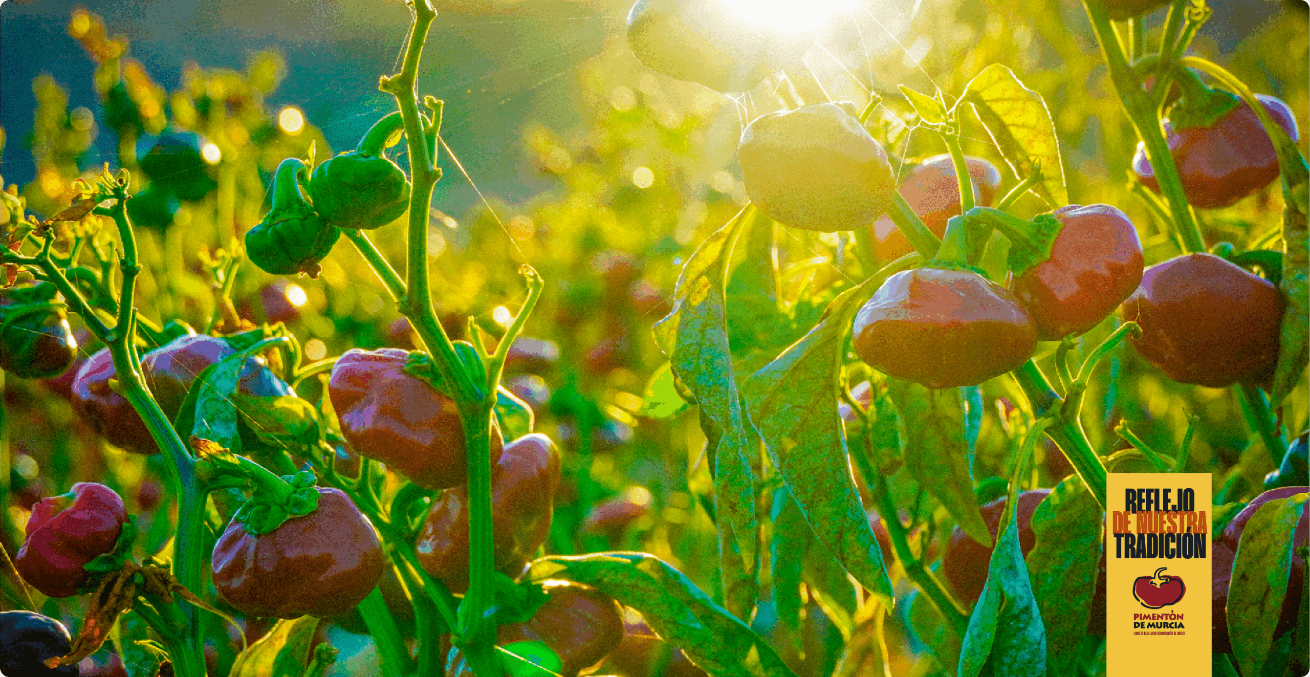 DOP Pimentón de Murcia
