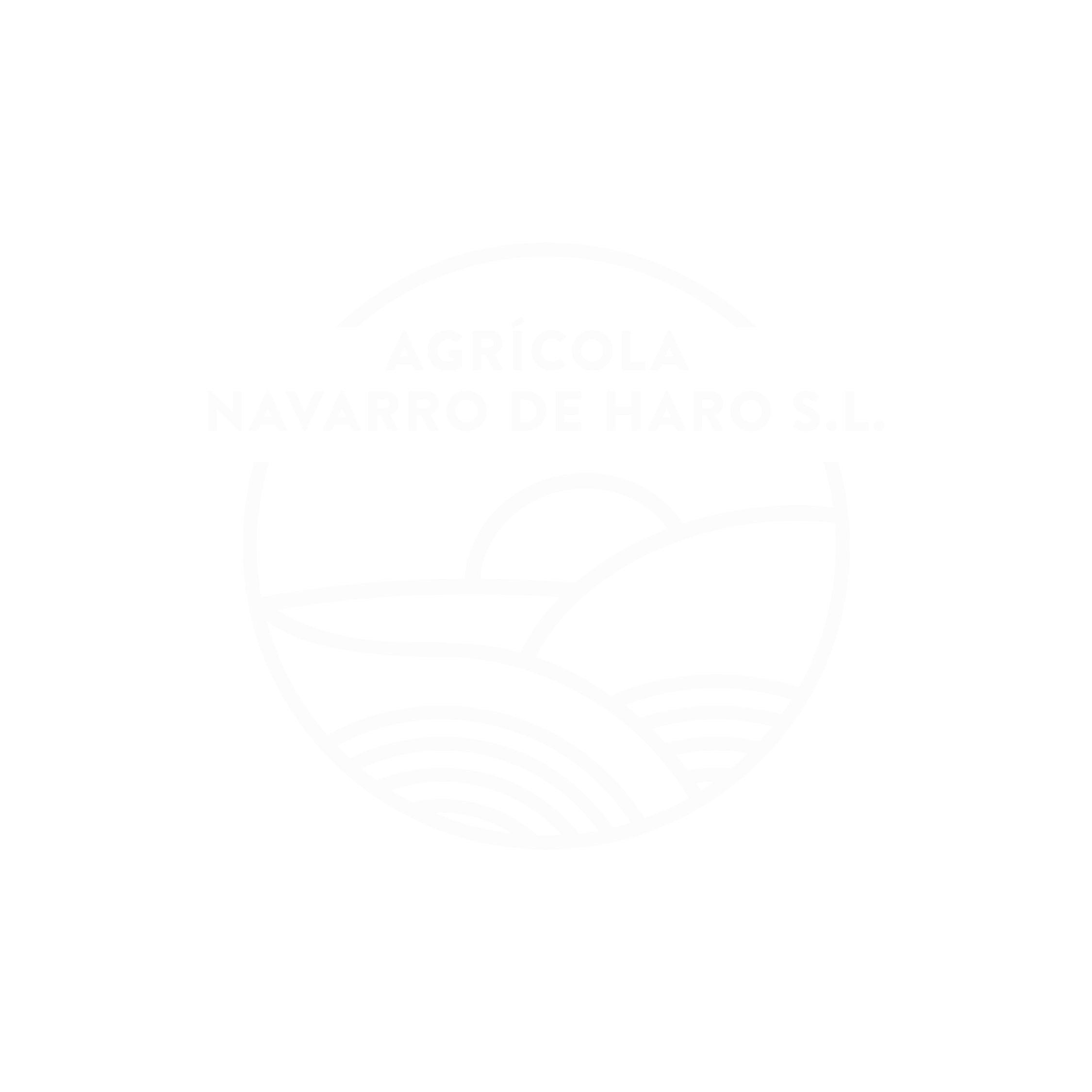 Agricola Navarro de Haro