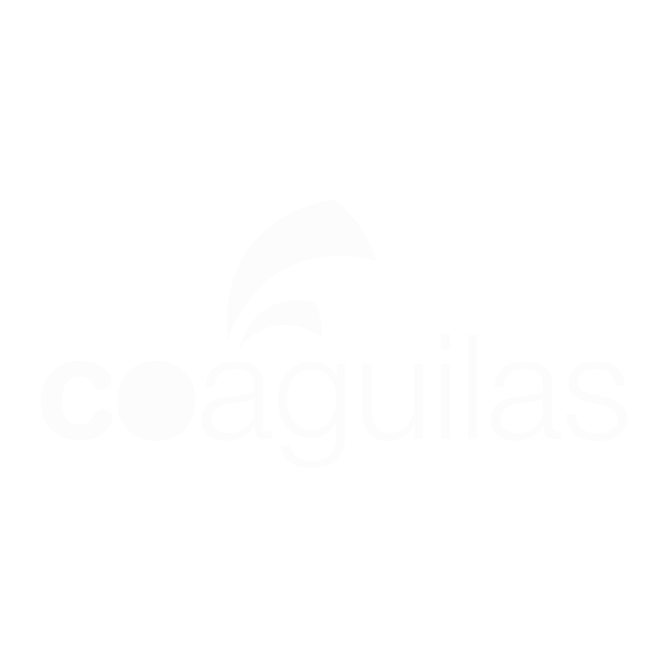 Coaguilas