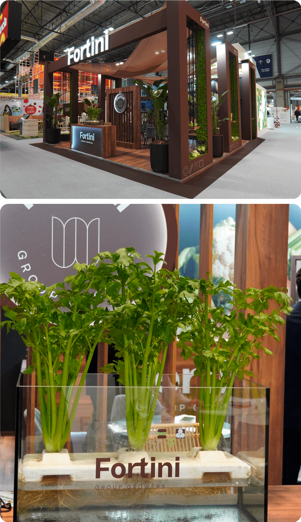 Relevancia_FATT_MV_12