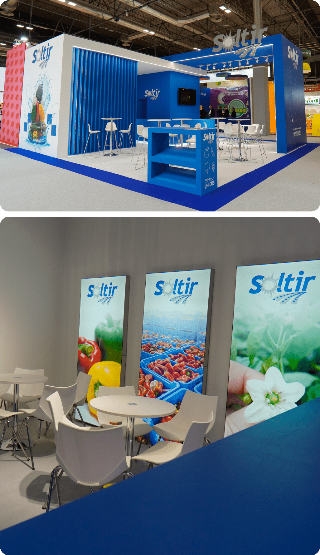 Relevancia_FATT_MV_14