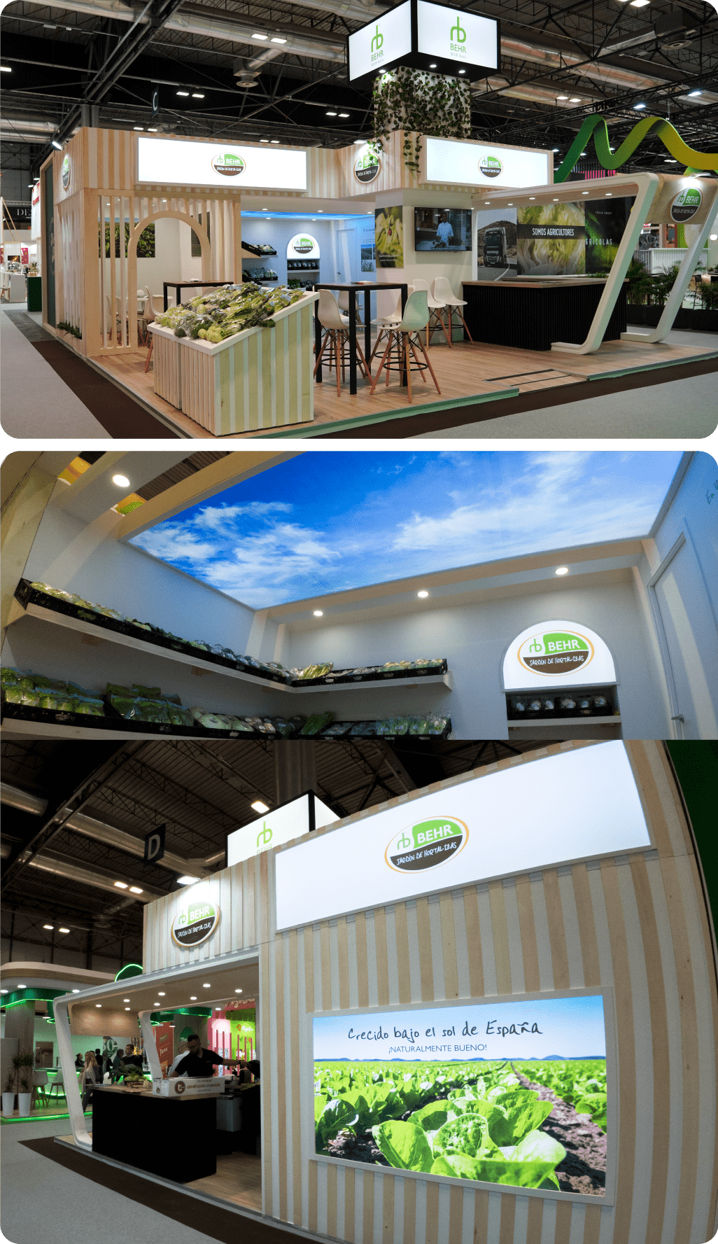 Relevancia_FATT_MV_7