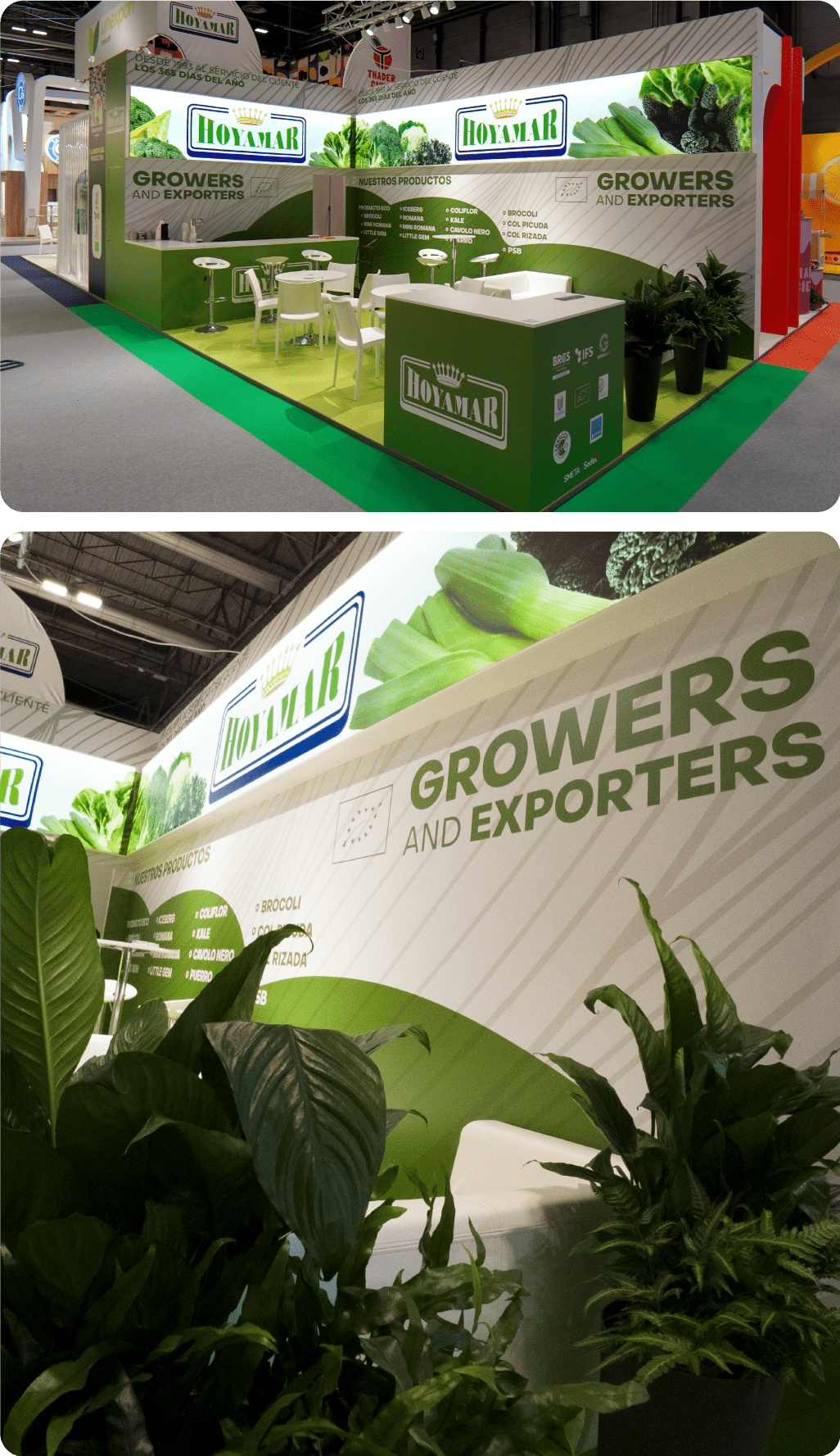 Relevancia_FATT_MV_8