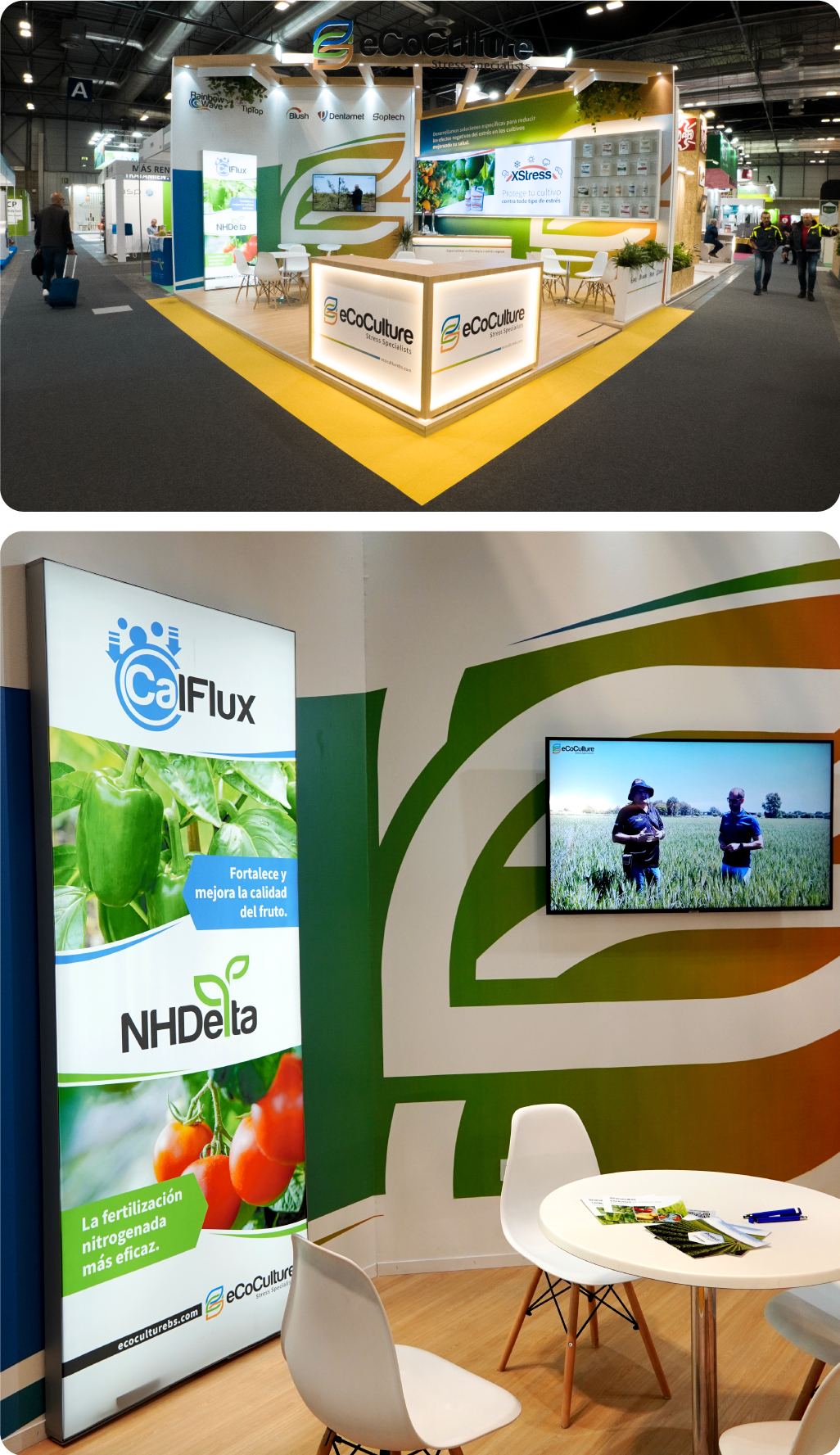 Relevancia_FATT_MV_9